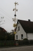 Kindsbaum