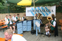 Musikalischer Frühschoppen 2013